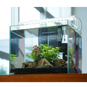 i߂jijZbg@GEX@KX@OXeAFL300@߂Zbg@{Bl@֓