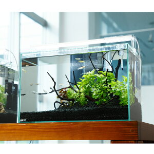 i߂jijZbg@GEX@KX@OXeAFL400@߂Zbg@{Bl@֓