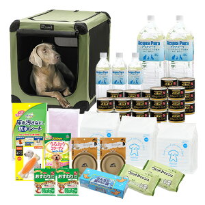 p@hЃZbg@^i\tN[gF܂j@VolD2@p@ЊQ@180TCY@2