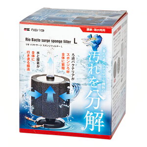 J~n^@I@oNgT[W@X|WtB^[@L@֓