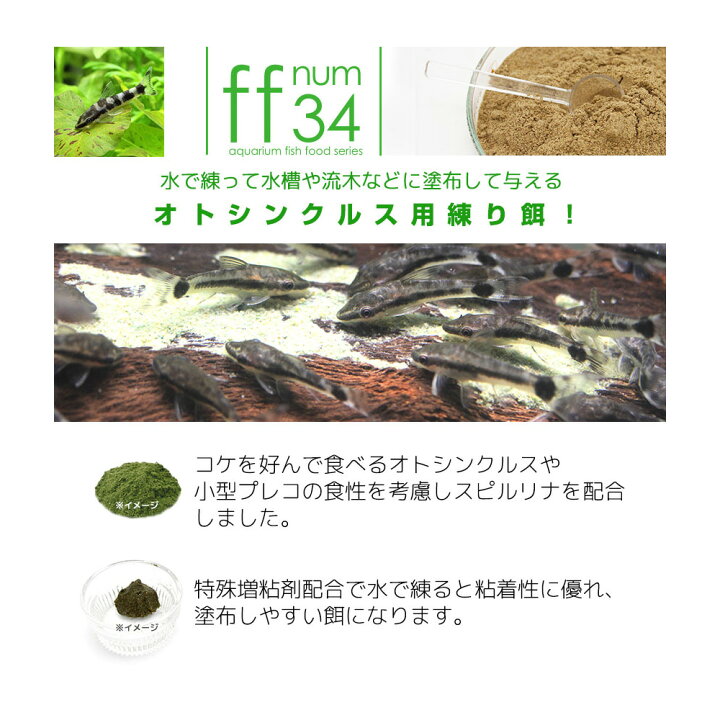 楽天市場】（熱帯魚）オトシンネグロ（国産ブリード）（4匹）＋ff 