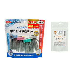 GEX@_JC@̂Y@4FZbg{ff@num900@v~Atpt[h@jqpς琬t[h@20g@֓