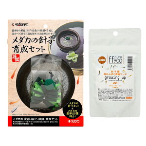 Xh[@_J̐jq琬Zbg{ff@num900@v~Atpt[h@jqpς琬t[h@20g@_J@t@֓