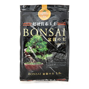 |{y@Ԃ@~͂̓y@1D5L@֓