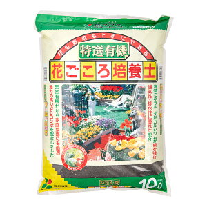 |{y@Ԃ@IL@Ԃ|{y@10L@֓