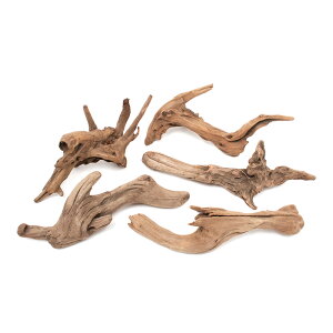 `󂨔C@ύݍς݁@㎿؁@`݂с`@MTCYi25`35cmj@5{@ANAE@CAEgfށ@؁@֓