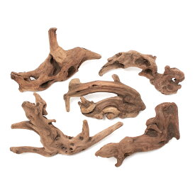 形状お任せ　煮込み済み　上質流木　雅〜みやび〜　Sサイズ（約15〜25cm）　5本　アクアリウム　レイアウト素材　流木　関東当日便