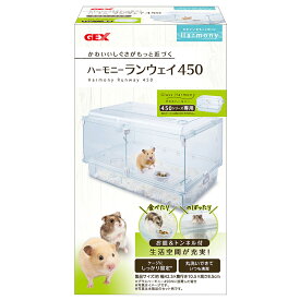 GEX　ハーモニーランウェイ　450　関東当日便