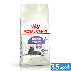 CJi@L@DE@Lp@FHN@XeACYh@7{@3D5kg×4@7΂12΂܂Ł@Wbvt@ll1_@֓