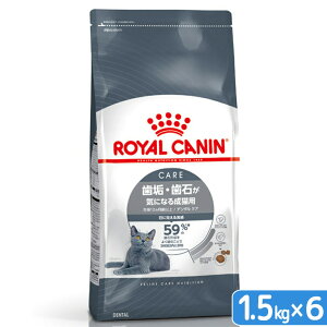 ロイヤルカナン 猫 デンタルケア 歯垢・歯石が気になる成猫用 1.5kg×6 お一人様1点限り 関東当日便