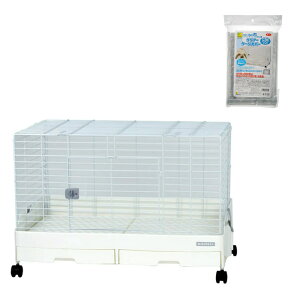 P[W@OW@C[W[z[EG{80@WHizCgji81×50D5×55cmj@NAP[WJo[t@֓