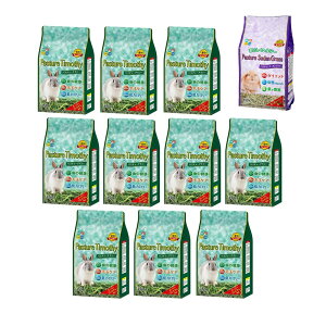 q@Ԋ@nCybg@pX`[`V[@450g×10@X[_OX̂܂t@@֓