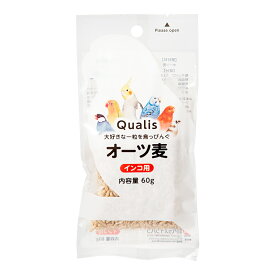 クオリス　鳥っぴんぐ　オーツ麦　60g　鳥　フード　餌　えさ　関東当日便
