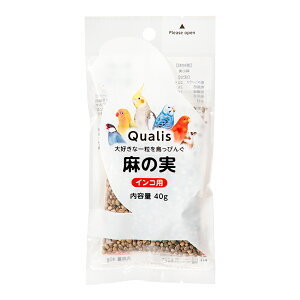 �N�I���X�@�����҂񂮁@���̎��@40g�@���@�t�[�h�@�a�@�����@�֓�������