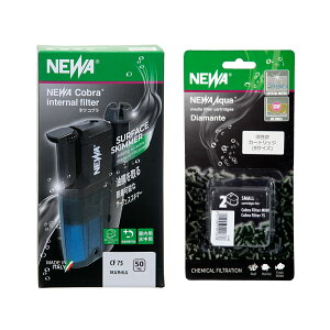 NEWA@Ru@tB^[@CF@75@50Hz@YJ[hbŴ܂t@֓