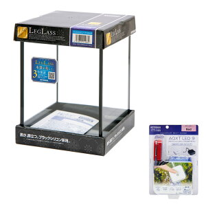 RguLH|@NX^L[u150H@ubNVRANXgLED@9@bh@Cg@KX@15×15×20cm@^@֓