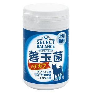 @Tv@ZNgoX@Pʋۂ̃`J@p@^Cv@45g@֓