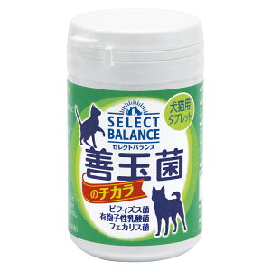 @L@Tv@ZNgoX@Pʋۂ̃`J@Lp@^ubg^Cv@45g@֓