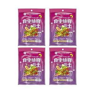 |{y@vg[t@HA̓y@0D6L×4@4@ll1_@֓