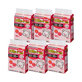 ペットシーツ　ボンビアルコン　しつけるシーツ　幼犬用　neo　レギュラーサイズ　40枚入×6　お一人様1点限り　関東当日便