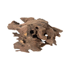 J~n^@`󂨔C@rXEbh@SS@CAEg@֓