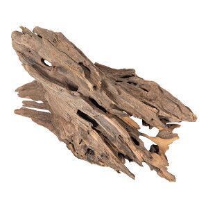 J~n^@`󂨔C@rXEbh@M@CAEg@֓