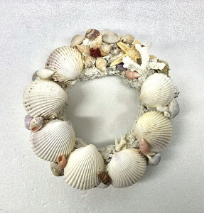 _@Lk[X@CubNvJt@312948@֓