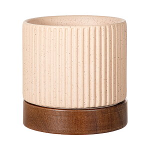 ^CfB|bg@sNx[W@3D5@Aؔ@@ϗtA@֓