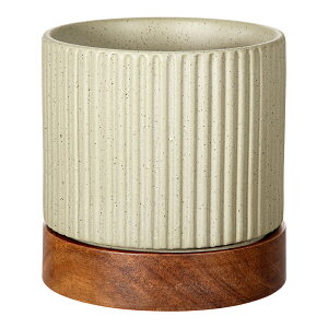 ^CfB|bg@O[@4D5@Aؔ@@ϗtA@֓