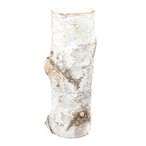 _@ҋחނ̂Ƃ܂؁@Y炩Ίۑ@t@313065@֓