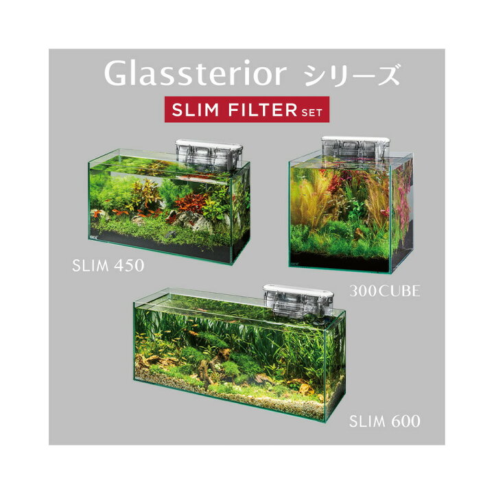 楽天市場】GEX ガラス水槽 グラステリア600スリム スリム 
