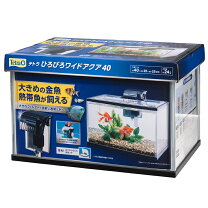 楽天市場】40cm 水槽セットの通販