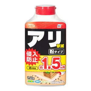 A[XK[f@AŁ@^Cv@1D2kg@֓