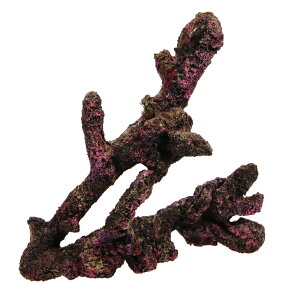 ORCA@OCEAN@ROCK@JB5@25×13×26cm@CubNvJ@֓