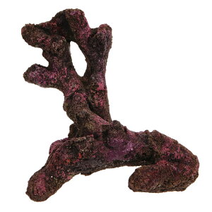 ORCA@OCEAN@ROCK@JB10@18×18×15cm@CubNvJ@֓