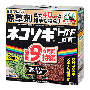 i摜
