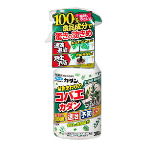 t}L[@A܂̃RoGK_@300ml@֓