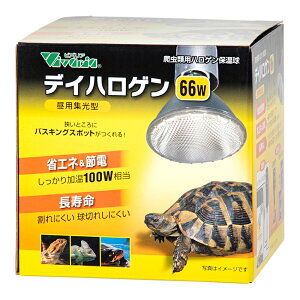 roA@fCnQ@66W@E26@঒ށ@oXLO@Cg@֓