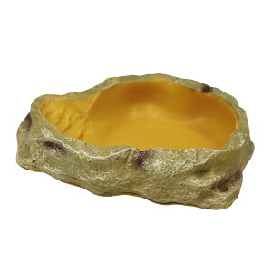 OW@REPTIZOO@EH[^[fBbV@S@঒ށ@@֓