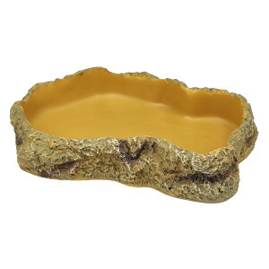 OW@REPTIZOO@t[hfBbV@M@঒ށ@GTM@֓