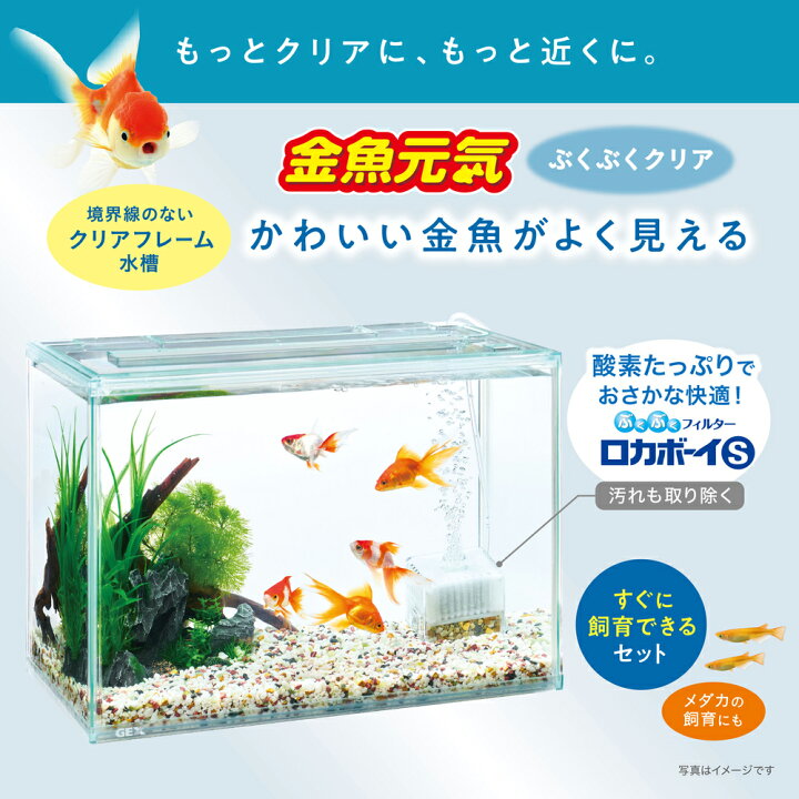 楽天市場】GEX 金魚元気 ぶくぶくクリア400 幅39．8×奥行20 