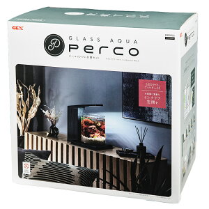 GEX@Zbg@OXANA@PERCO@C|Charcoal@Black@֓
