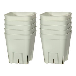 v~AvXe@75^@O[@10Zbg@֓