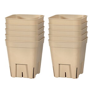 v~AvXe@75^@uE@10Zbg@֓