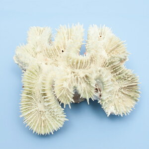 _@TS@niK^TS@314875@֓