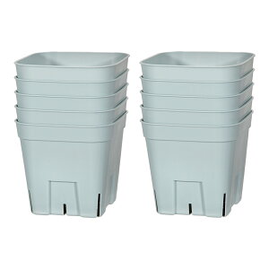 v~AvXe@90^@u[@10Zbg@֓