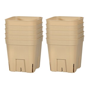 v~AvXe@90^@uE@10Zbg@֓