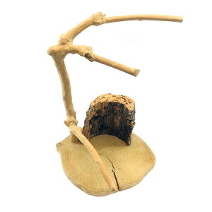 _@^CR̂Ƃ܂؁@314919@֓