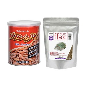 JV@ځ@VRȂGr@80g{jICE}@ff@num600@Jp@ybgi㐫j@250g@v~ANǗt[h@֓