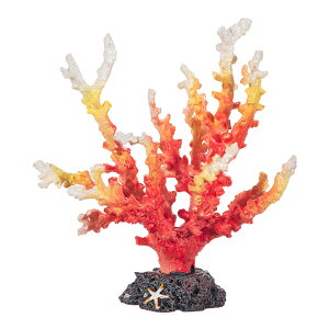 At@ebN@XL|S1762@vJTS@ԁ@֓